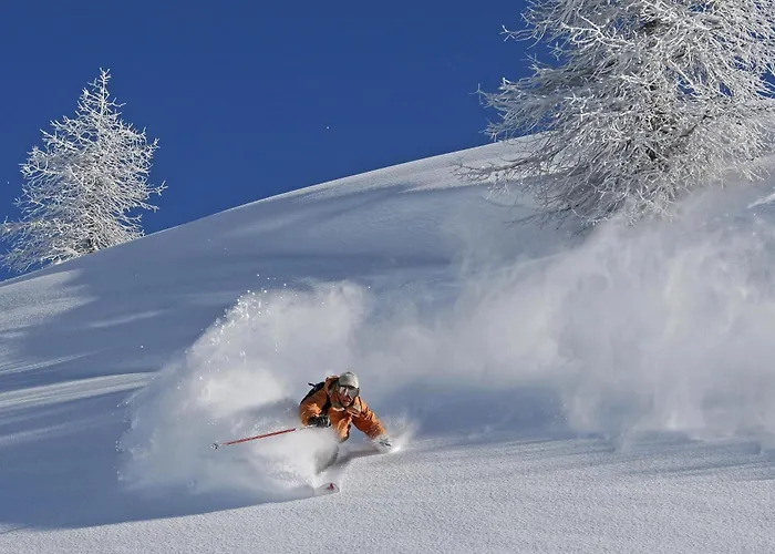 阿伯克斯木屋旅馆 公寓 *